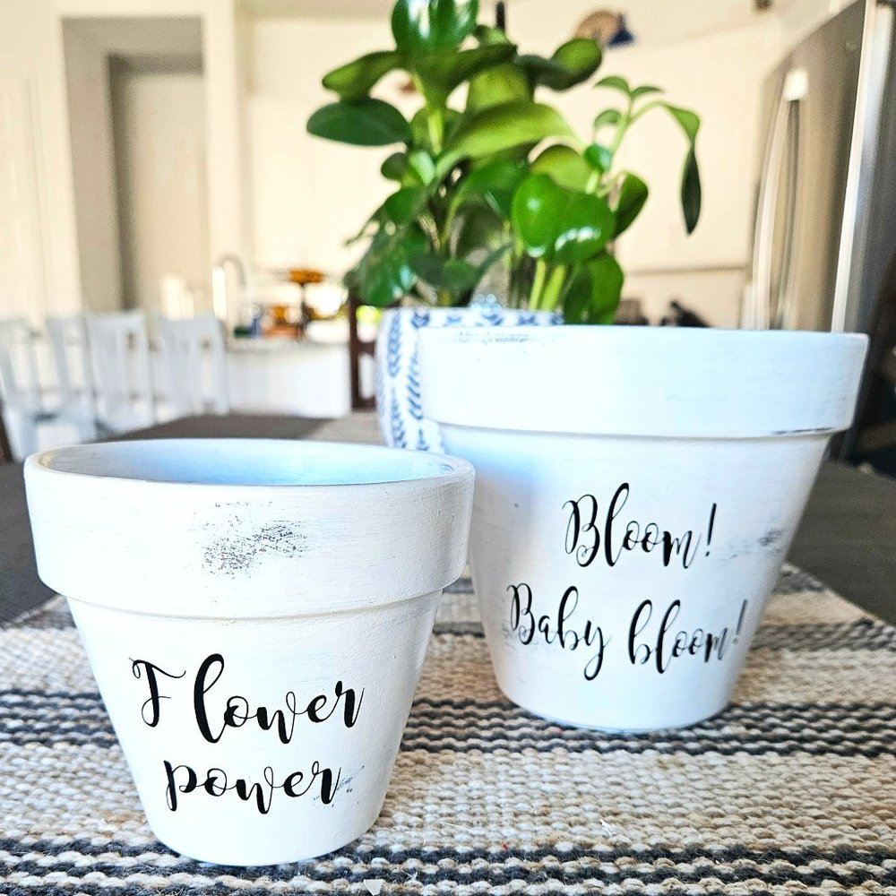 NEW Set of 2 flower pots